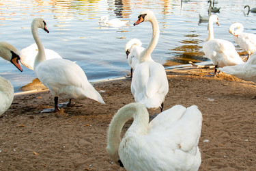 Similar image 6462577