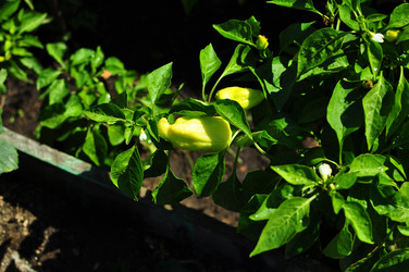 Similar image 6462823