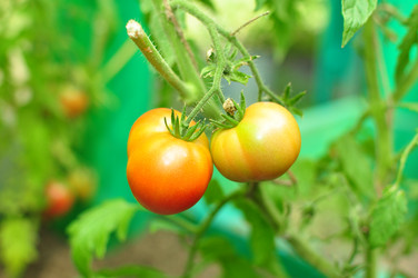 Similar image 6462824