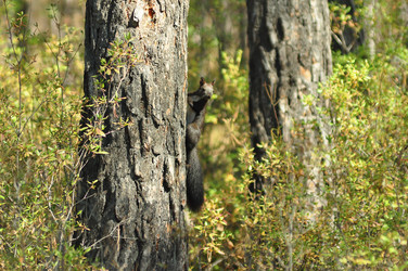 Similar image 6462843