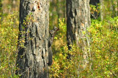 Similar image 6462844