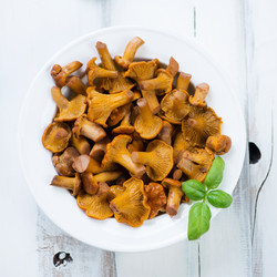 Similar image 6462873