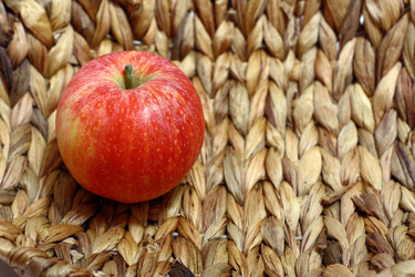 Similar image 6462880