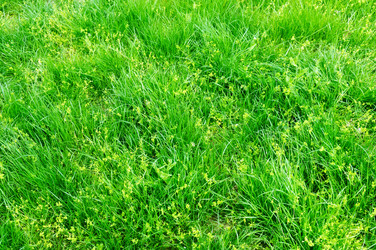 Similar image 6462914