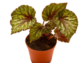 Similar image 6462937