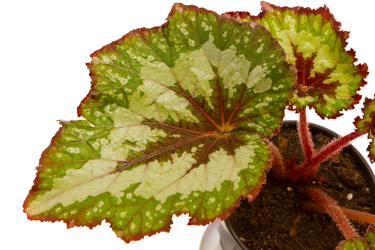 Similar image 6462939