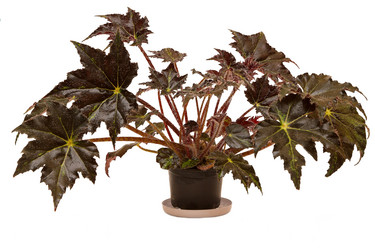 Similar image 6462940