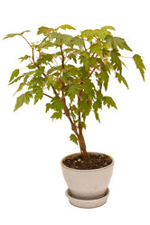 Similar image 6462943