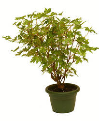 Similar image 6462944