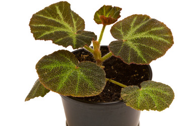 Similar image 6462945