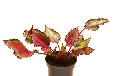 Similar image 6462951