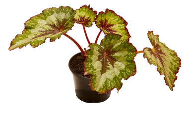 Similar image 6462952