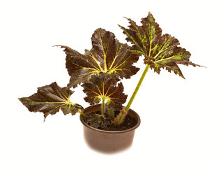 Similar image 6462955