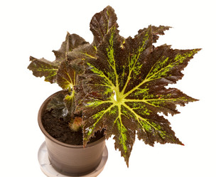 Similar image 6462956