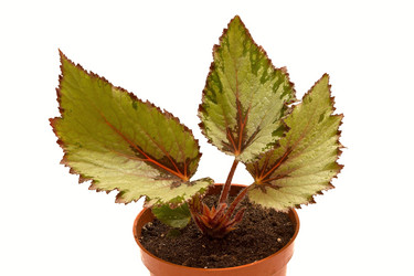 Similar image 6462957