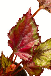 Similar image 6462959