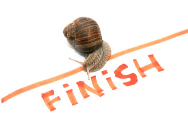 Similar image 6462998