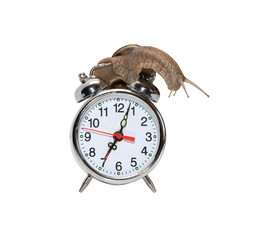 Similar image 6463000