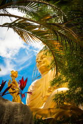 Similar image 6463060