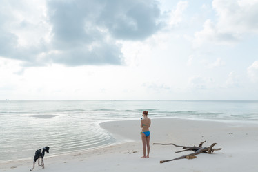 Similar image 6463062