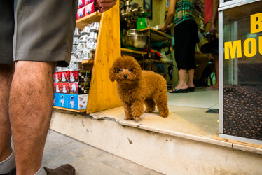 Similar image 6463124