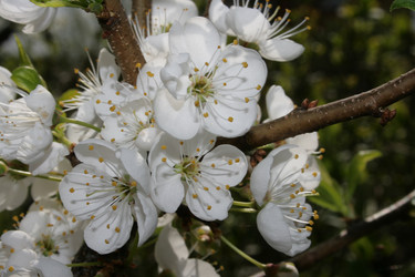 Similar image 6463242