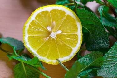 Similar image 6463259