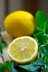 Similar image 6463265