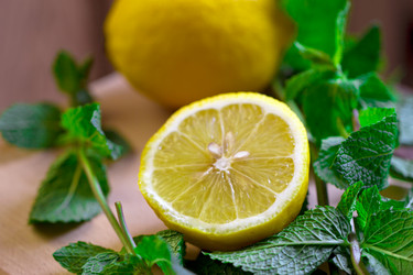 Similar image 6463266