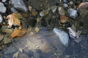 Similar image 6465780