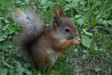 Similar image 6465782