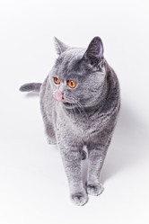 Similar image 6465796