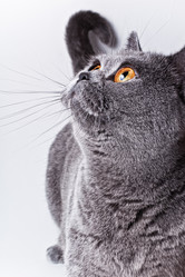 Similar image 6465797