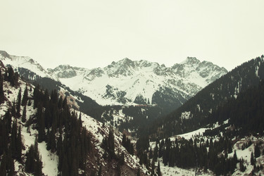 Similar image 6465802