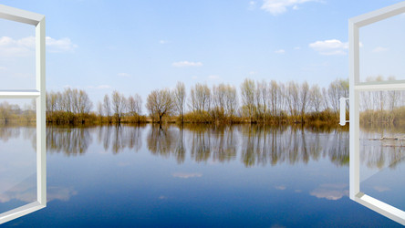 Similar image 6465854