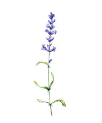 Similar image 6465858