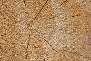 Similar image 6465885