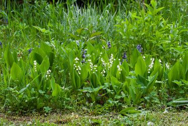 Similar image 6465886