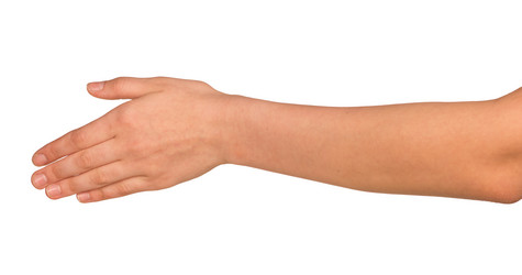 Similar image 6466002