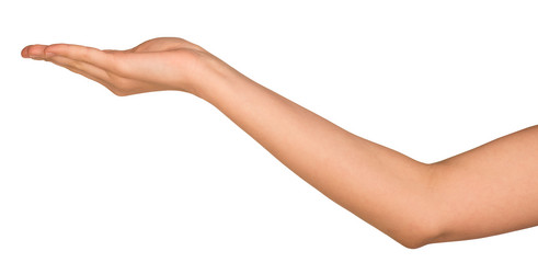 Similar image 6466004