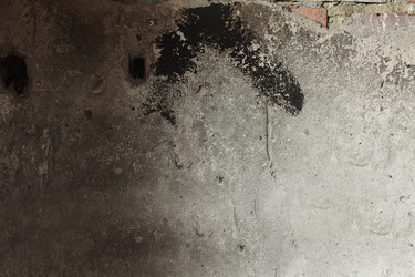 Similar image 6466138