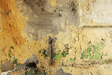 Similar image 6466140