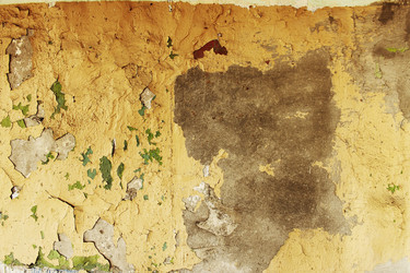 Similar image 6466141