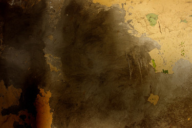 Similar image 6466144