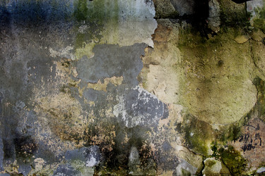 Similar image 6466171