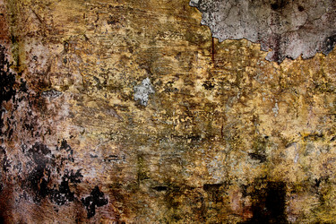 Similar image 6466172