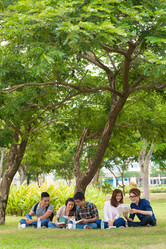 Similar image 6466200