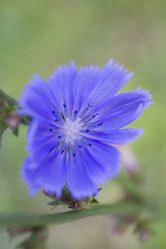 Similar image 6466281