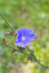 Similar image 6466282