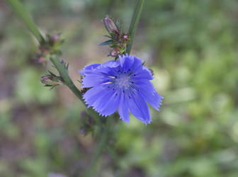 Similar image 6466283